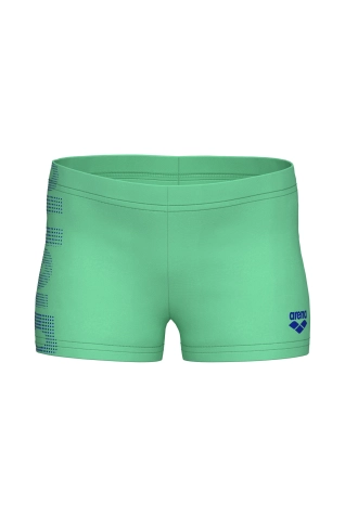 Chlapecké plavky arena Logo Swim Shorts