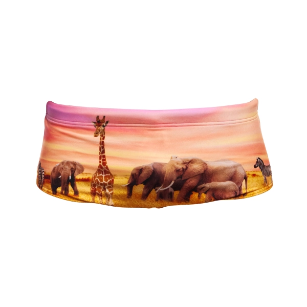 2228-0.webp